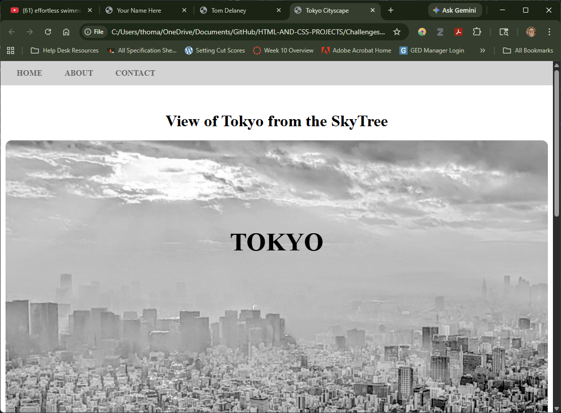 Tokyo Website Screenshot